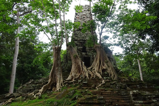 1-Day Angkor Wat Sunrise & All Interesting Temples Private Tour - Ta Nei offers a quieter change of pace
