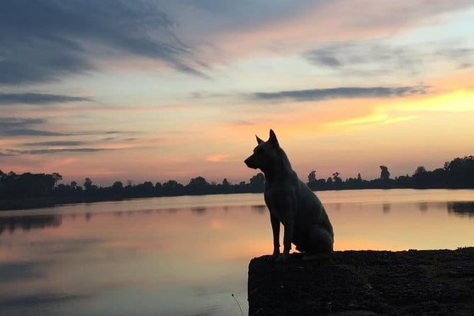 1 Day Angkor Wat with Sunrise Tour - Angkor Thom’s South Gate and its stone guardians