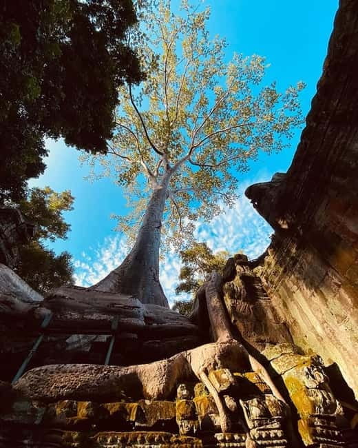 1-Day Trip to Angkor Wat with a Private or Shared Guide in Spanish - Elephants, Baphuon, and Bayon in Angkor Thom