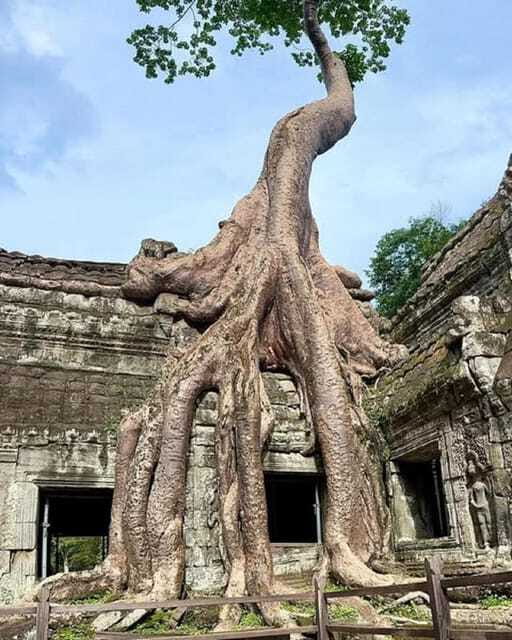 1-Day Trip to Angkor Wat with a Private or Shared Guide in Spanish - Tuk-tuk or air-conditioned van