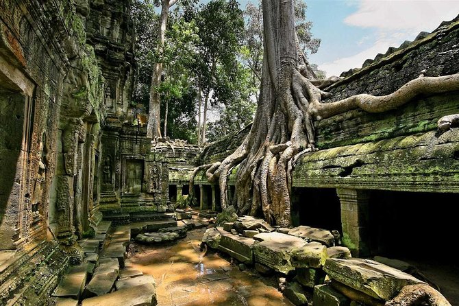 1day private tour all main temple in Angkor,sunset at TonleSap floating village - Through the gates of Angkor Thom