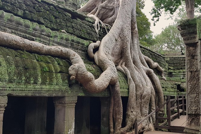 1day Private tour, Angkor sunrise,all main temples, Banteay srei - How much value do you get for $148.72?