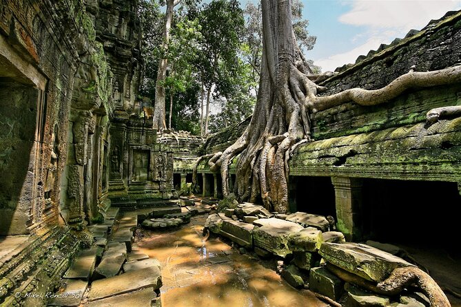 1day private tour to all majestic Temples in Angkor and Sunset - Baphuon and the former royal center