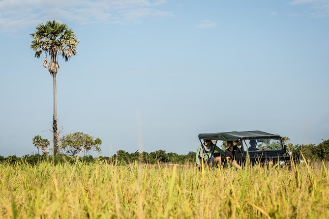 2-Day : Angkor Sunrise, Kompong Phluk Sunset & Banteay Srei Tour - What this 2-day Angkor plan actually covers