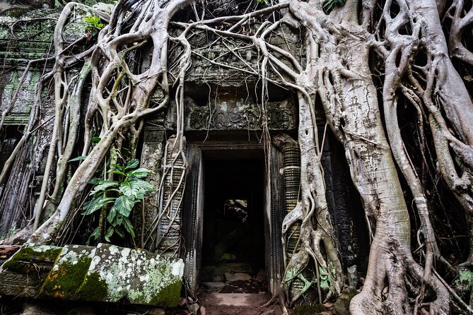 2-Day : Angkor Sunrise, Kompong Phluk Sunset & Banteay Srei Tour - Six hours at Kompong Phluk and Tonle Sap