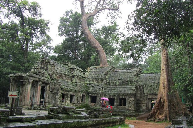2-Day 'Angkor & Village' Tour - Day one: Bayon, Baphuon, Ta Prohm, and Angkor Wat