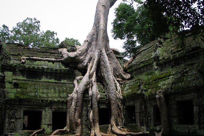 2 Days Angkor Wat Tranquility Tour - Two days that balance famous temples with quiet ruins