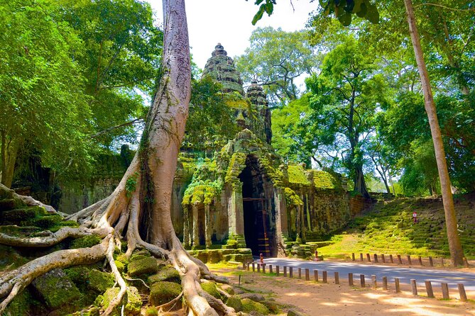 2 Days Exclusive Temple Highlights with Sunset and Sunrise Tour - Sunset in rice fields or at Bakheng Mountain