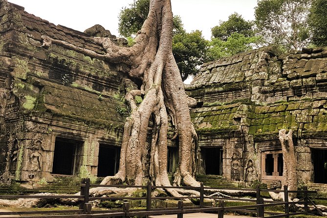 2-Days Private Tour in Angkor Sunrise, Banteay Srei and Beng Mealea Temple - Why a Private Car Changes the Experience
