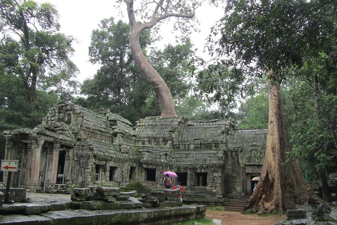 3-Day Angkor, Lake-side Village & Roluos Temples Tour - Day one: Bayon faces, jungle roots, and Angkor Wat