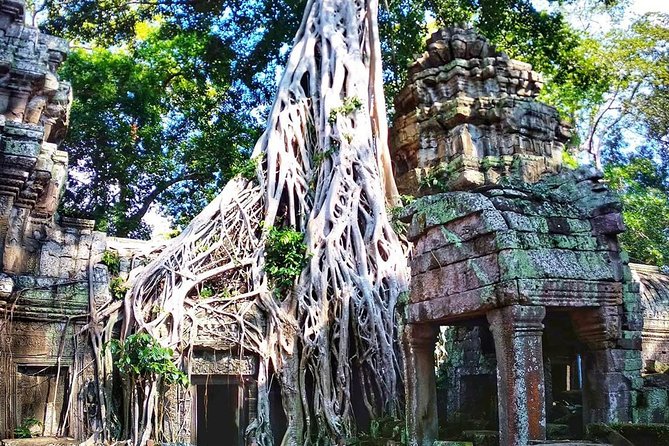 3-Day Tour(Unforgettable Angkor Temple Complex, Banteay Srei& Floating Village) - Day three: the delicate carvings of Banteay Srei