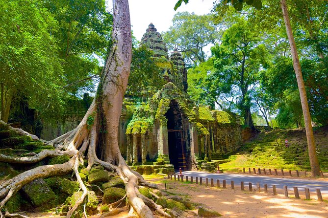 3 Days Siem Reap Explorer - Small Group - Phare Circus or the lake, depending on the calendar