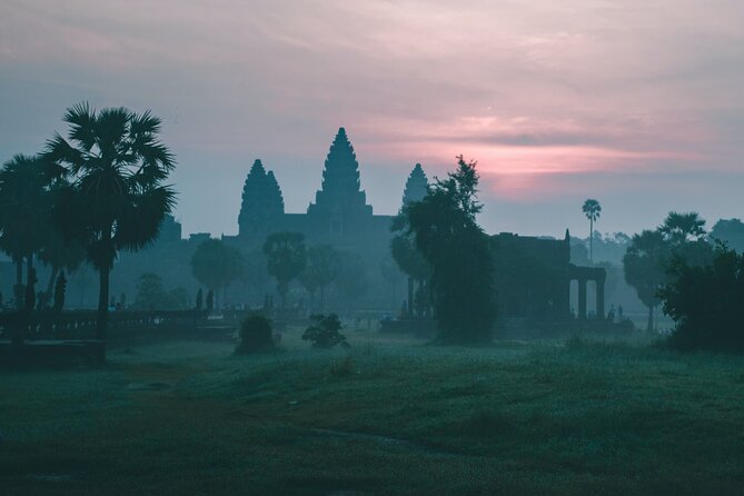 5 Must-See Temples With Private Guided Tour - Ta Prohm: Roots, stones, and the Tomb Raider connection