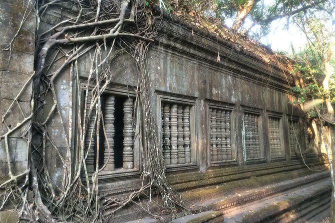 A Day Angkor Wat Sunrise Tour, Ta Prohm & Hidden Gems Beng Mealea - Ta Prohm, where trees share the ruins