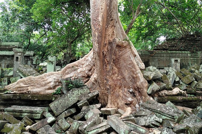 A Day Angkor Wat Sunrise Tour, Ta Prohm & Hidden Gems Beng Mealea - Beng Mealea adds a rougher, more remote-feeling finish