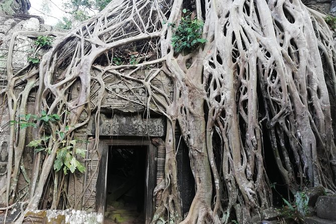 Afternoon Angkor Wat Private Tour with Sunset - A short stop at Angkor Thom’s South Gate