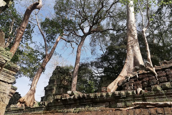 Afternoon Angkor Wat Private Tour with Sunset - Phnom Bakheng and the sunset plan