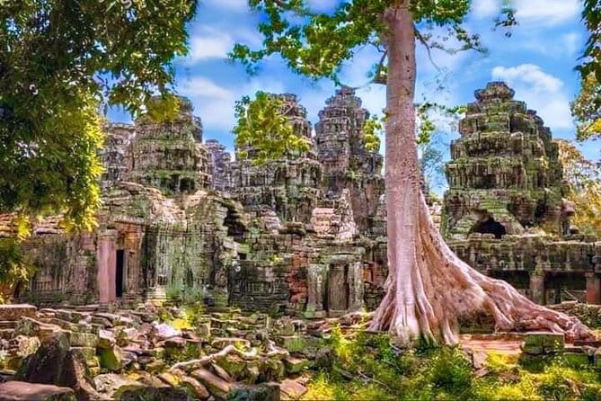 Amazing full day TUKTUK tour - The Elephants and Leper King terraces