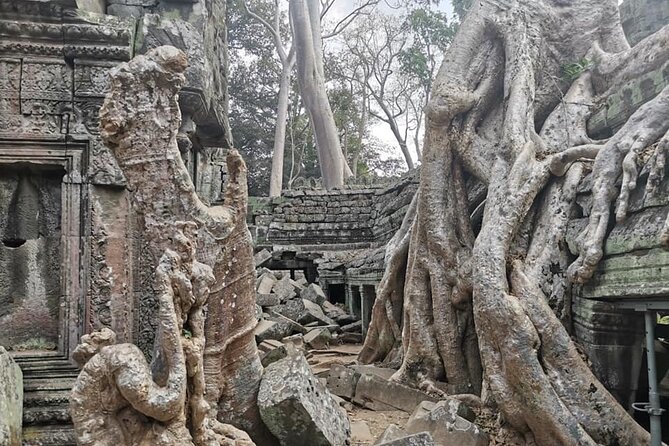 Angkor Cab: Siem Reap 3 day private tour: 'off the beaten track' - Day 2: Angkor Wat at 5am, Angkor Thom, and Ta Prohm