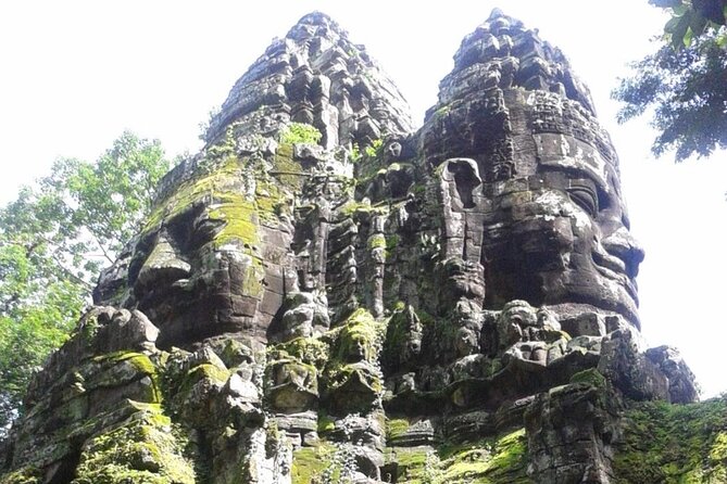 Angkor Full Day Tour All The Main Temples - Ta Prohm and the famous tree roots