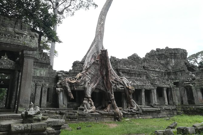 Angkor Grand Circuit Temples Tour - Preah Khan starts the morning with scale and atmosphere