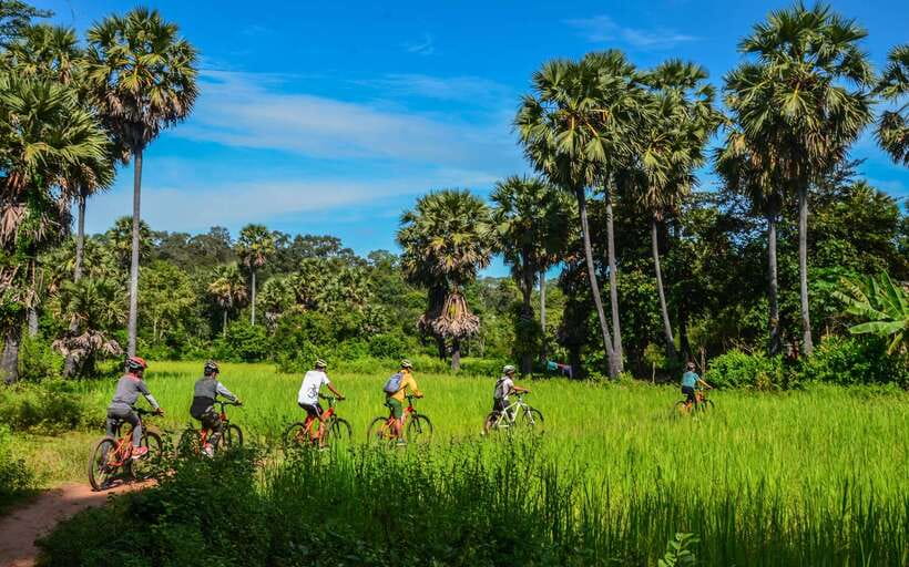 Angkor Jungle Biking Adventure Private Cycling Tour - Walls, gates, and old roads fill in the picture