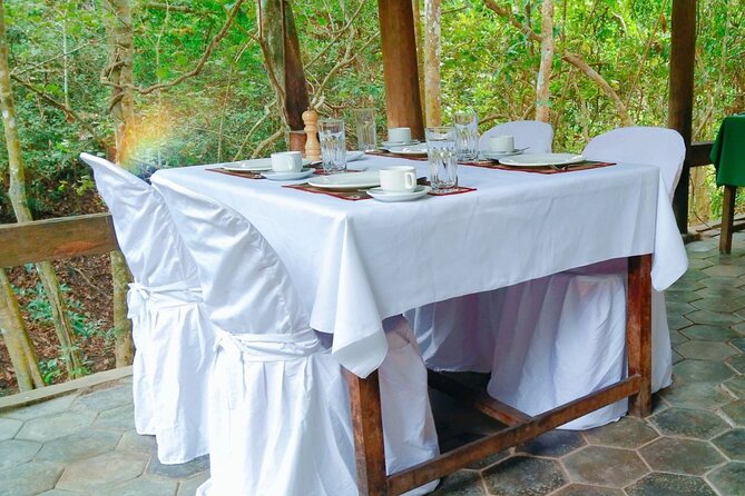Angkor Sunrise Bike Tour - Breakfast & Lunch included - Ta Prohm and the power of the trees
