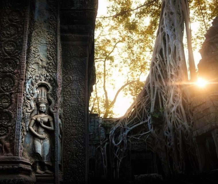 Angkor Sunrise or Sunset Tour (includes breakfast or lunch) - Who should book this Angkor morning