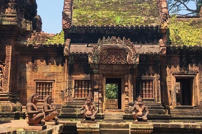 Angkor Temple Sunrise Half Day Tour - Who will appreciate this shared sunrise tour