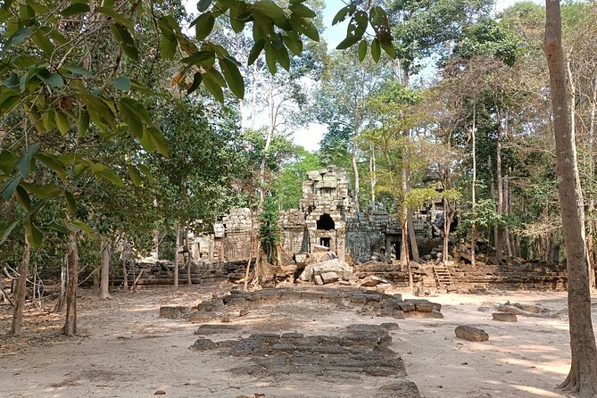 Angkor Temples Highlights: 2-Day Private Tour with Sunrise - Ta Prohm brings the jungle into the story