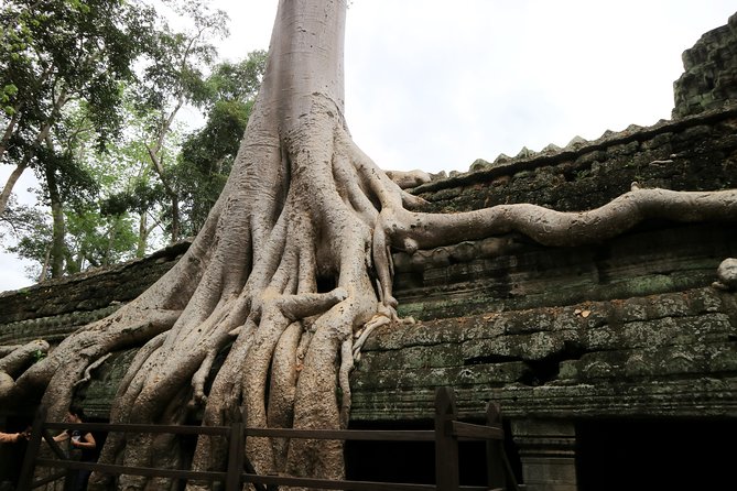 Angkor Temples Private Full-Day Tour from Siem Reap (Free Child) - Baphuon and the royal terraces