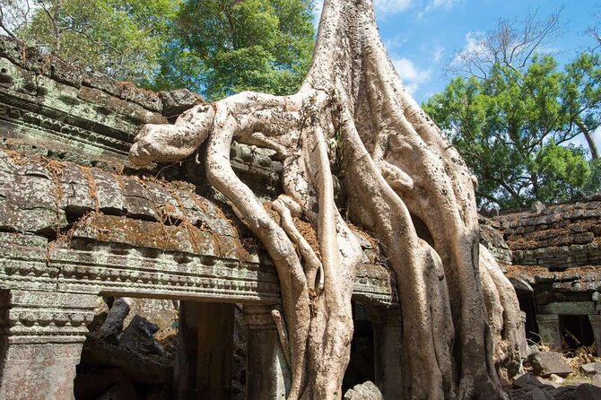 Angkor Thom Ta Prohm and Sunset in Angkor Wat Golden Hour Tour - Does the $29 price offer good value?