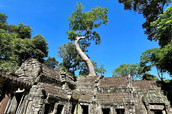 Angkor Wat 1-Day Tour by Private Car or Minivan - Local snacks, coconut, and a welcome break