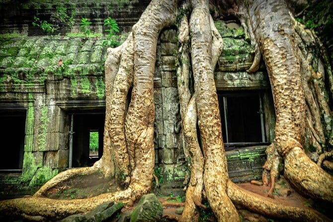 Angkor Wat 2 Days and a Half Temples & Tonle Sap-Small Group Tour - Neak Pean and atmospheric Preah Khan