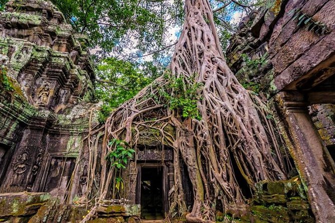 Angkor wat and Small group temples Full day tours - Ta Prohm: trees, ruins, and a different mood