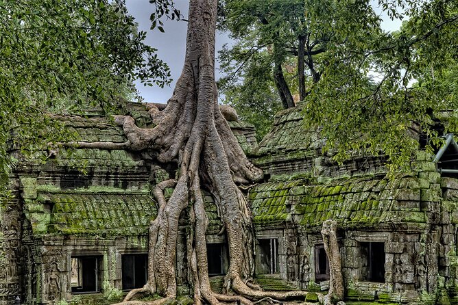 Angkor Wat, Angkor Thom & Elephant Terrace Half-Day Tours - The Elephant Terrace brings you back to royal ceremony