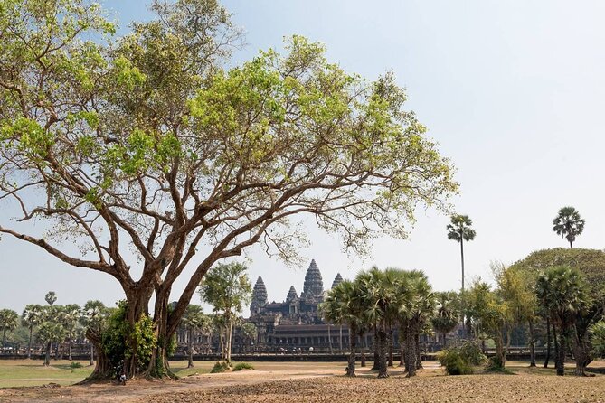 Angkor Wat, Angkor Thom & Elephant Terrace Half-Day Tours - Should you book it?