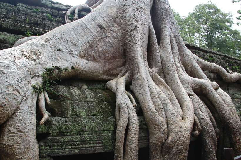 Angkor Wat Full-Day Private Tour with Sunset - Who should book this Angkor Wat day?