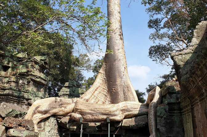 Angkor Wat Full Day Tour in Siem Reap Small-Group - A practical first look at the Angkor Wat day