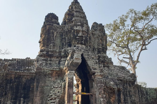 Angkor Wat Full Day Tour in Siem Reap Small-Group - Ta Prohm after lunch and a rest