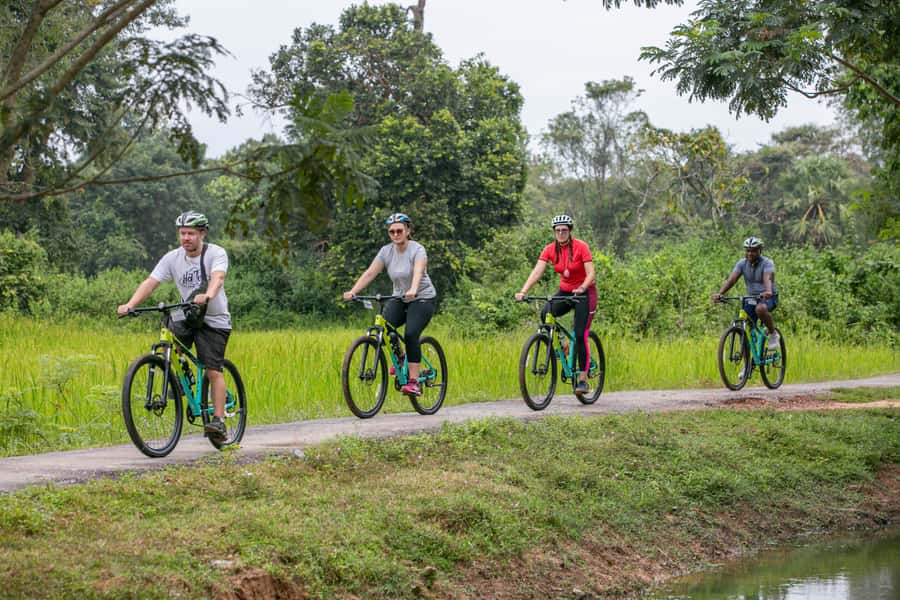 Angkor Wat: Guided Sunrise Bike Tour w/ Breakfast and Lunch - Ta Prohm and the jungle paths