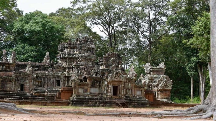Angkor Wat Guided Sunrise Tour - Ta Prohm and the trees over the ruins