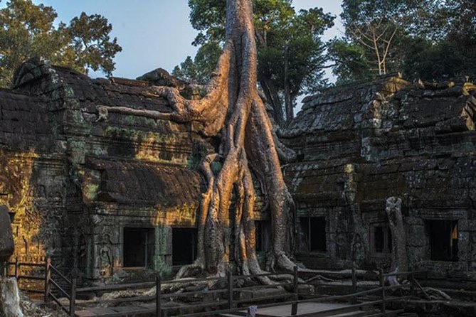 Angkor Wat highlight Tour From Sunrise -Small Group - Bayon’s carved faces and central towers