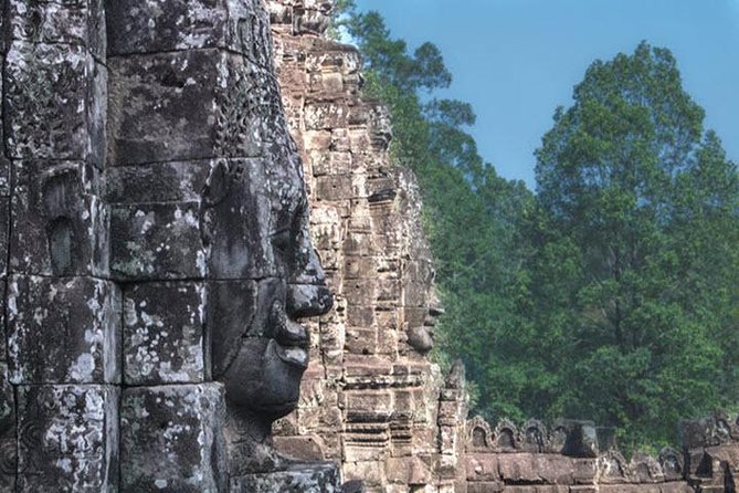 Angkor Wat highlight Tour From Sunrise -Small Group - Ta Prohm, where the jungle takes over