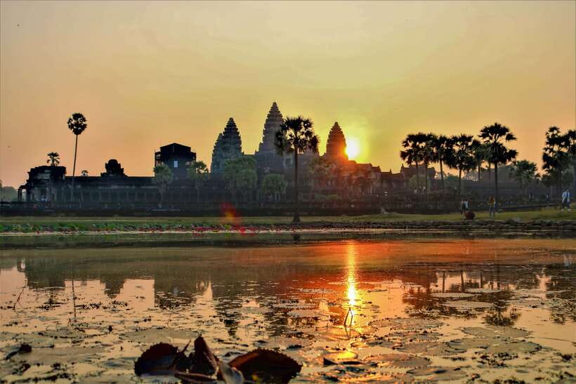 Angkor Wat: Highlights and Sunrise Guided Tour - Ta Prohm and the force of the jungle