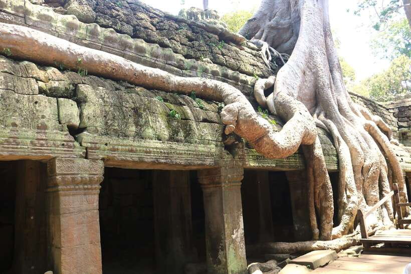 Angkor Wat: Highlights and Sunrise Guided Tour - The $19 price and the Angkor Pass calculation
