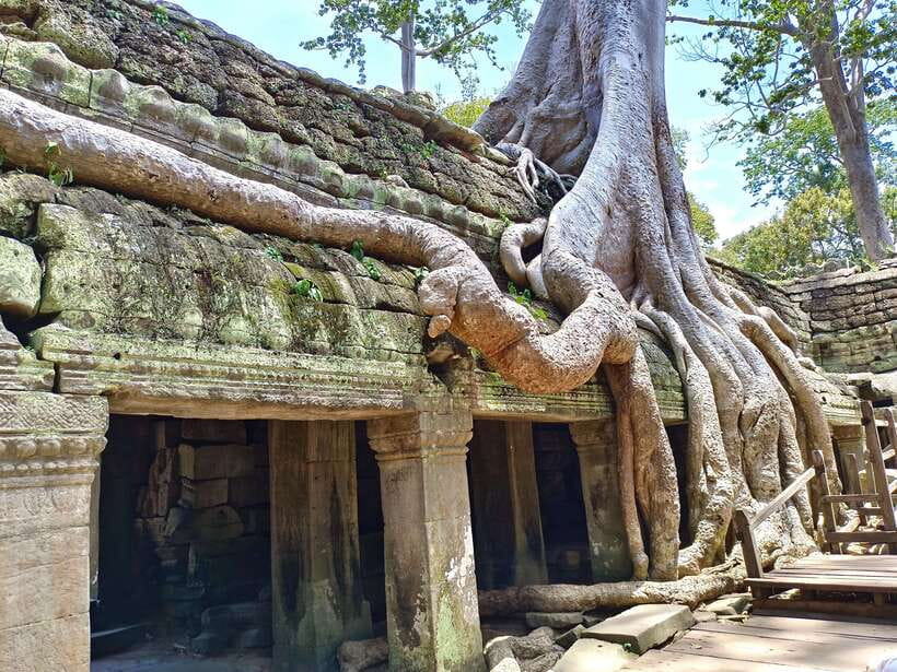 Angkor Wat: Highlights and Sunrise with Spanish Guide - Why this sunrise tour works well