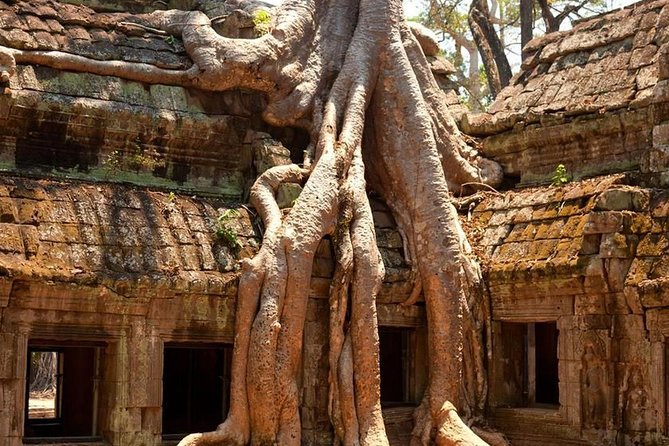 Angkor Wat Private Day Tour - Who should book this Angkor Wat tour