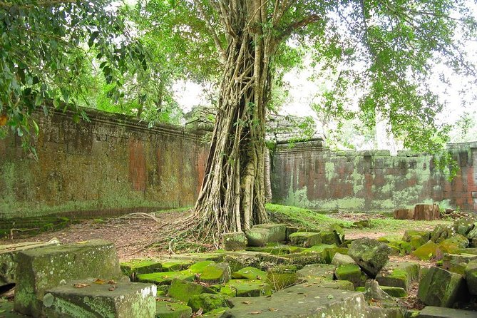 Angkor Wat Private Tour with English Speaking Driver, NO guide - A Friendly Driver Can Shape the Day