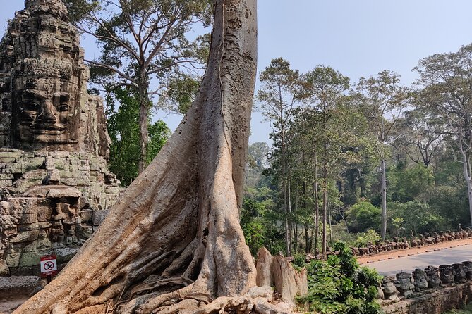 Angkor Wat Private Tuk-Tuk Tour (sunrise Option) & more - Bayon and the stone faces of Angkor Thom